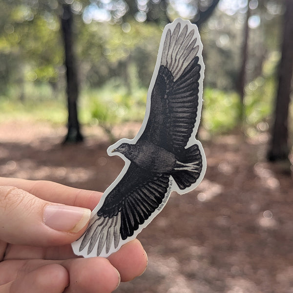 Black Vulture (In Flight) Vinyl Sticker