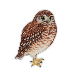 Burrowing Owl Vinyl Sticker