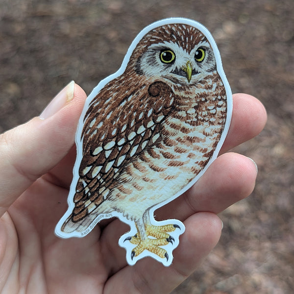 Burrowing Owl Vinyl Sticker