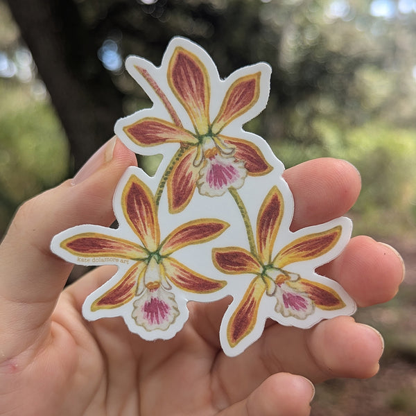 Butterfly Orchid Vinyl Sticker