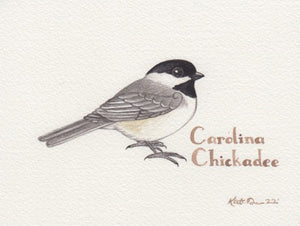 Carolina Chickadee 6x4.5 Original Watercolor Painting