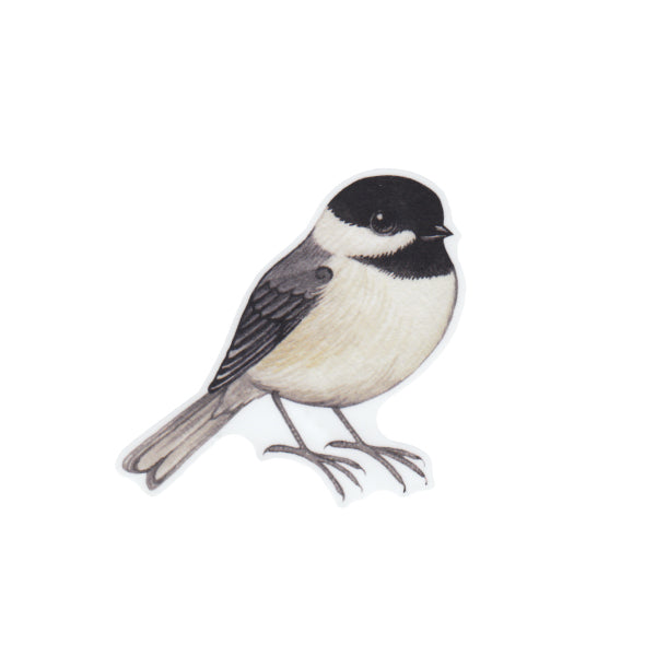 Carolina Chickadee Vinyl Sticker