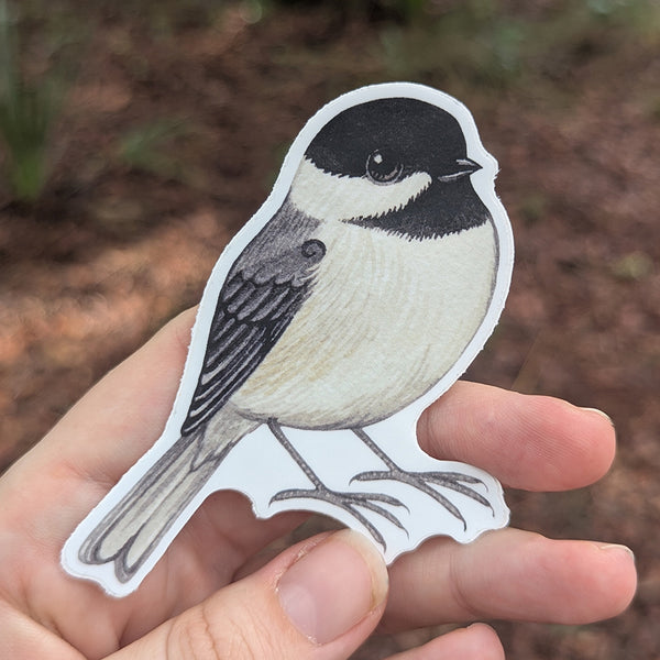 Carolina Chickadee Vinyl Sticker