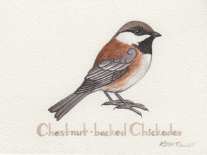 Chestnut-backed Chickadee 6x4.5 Original Watercolor Painting