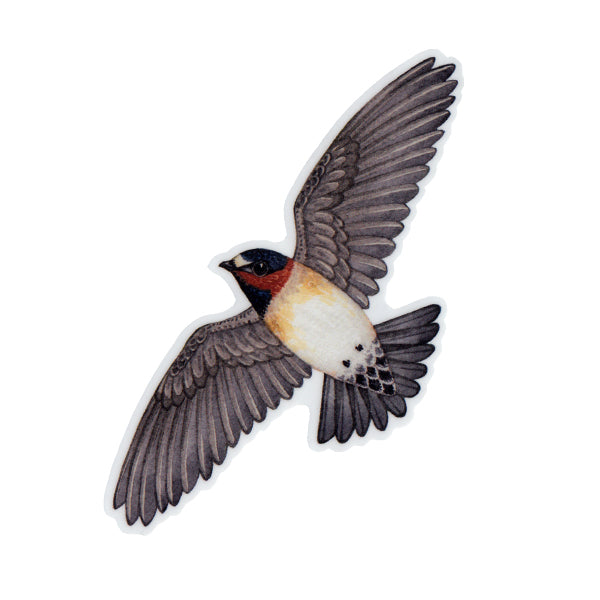 Cliff Swallow Vinyl Sticker