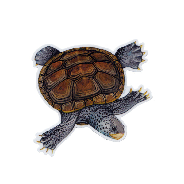 Diamondback Terrapin Vinyl Sticker