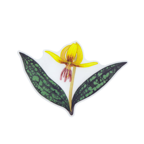 Dimpled Trout Lily Vinyl Sticker