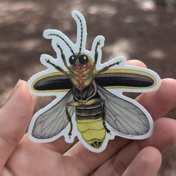 Common Eastern Firefly Vinyl Sticker