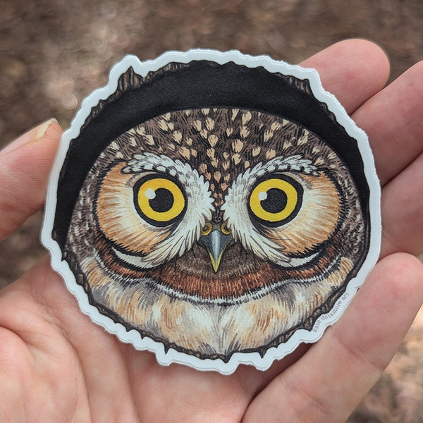 Elf Owl Vinyl Sticker