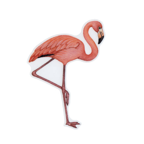 American Flamingo (Foot Up) Vinyl Sticker