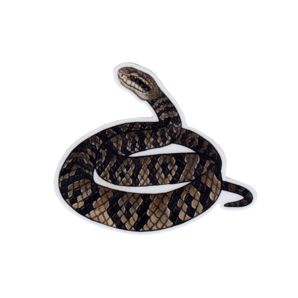 Florida Cottonmouth Snake Vinyl Sticker