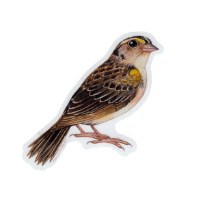 Florida Grasshopper Sparrow Vinyl Sticker