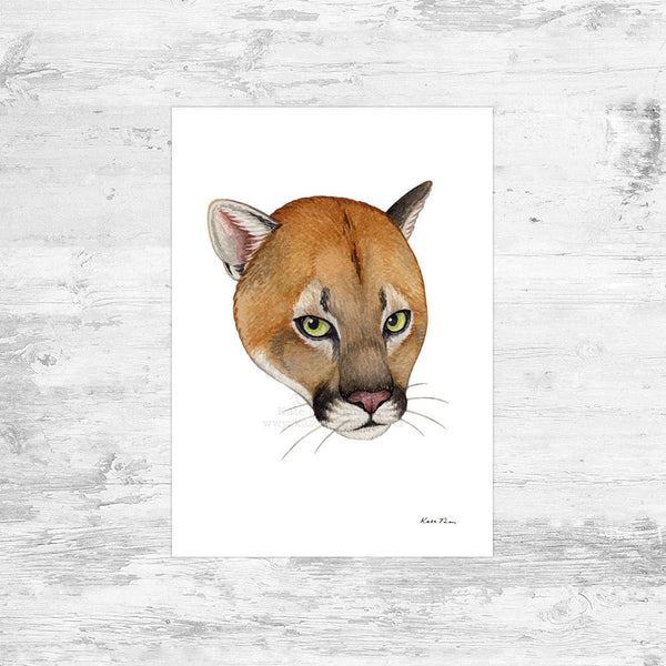 Florida Panther Art Print