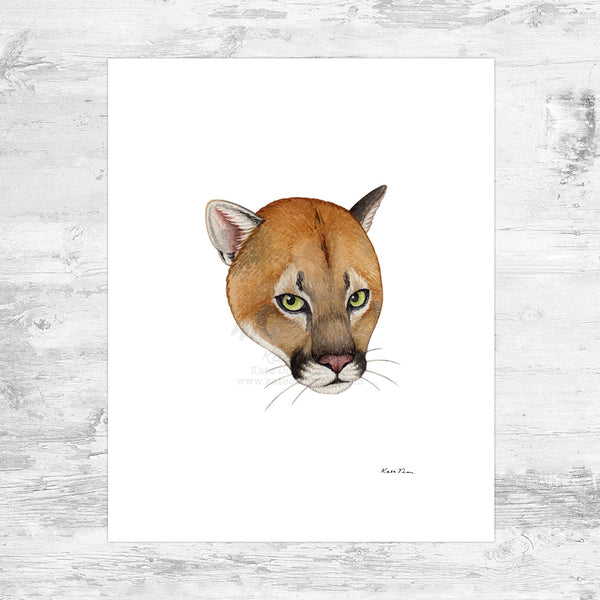 Florida Panther Art Print