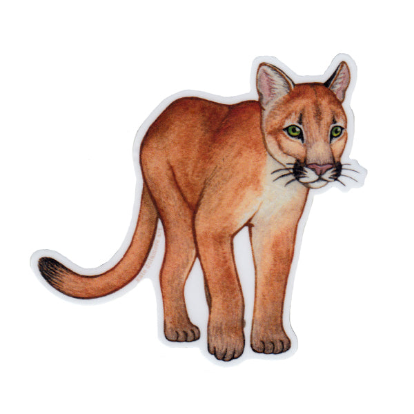 Florida Panther Vinyl Sticker