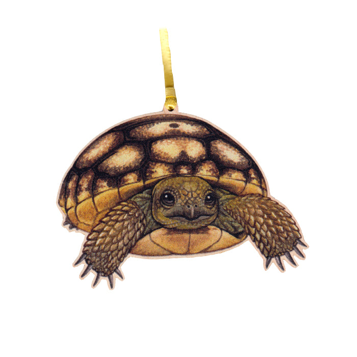 Gopher Tortoise Baby Ornament