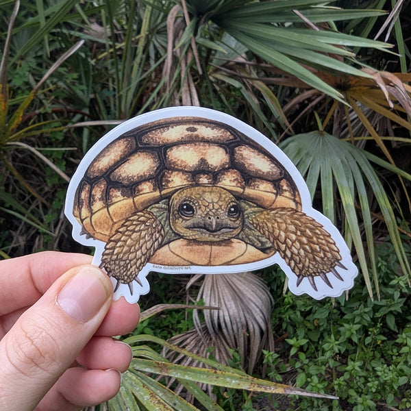 Gopher Tortoise Baby Vinyl Sticker