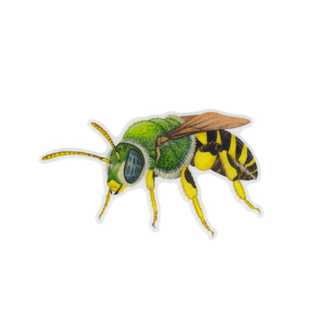 Sweat Bee Vinyl Sticker