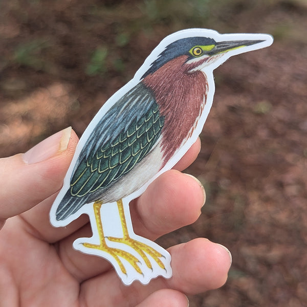 Green Heron Vinyl Sticker