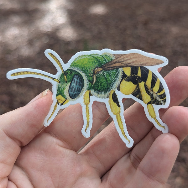 Sweat Bee Vinyl Sticker