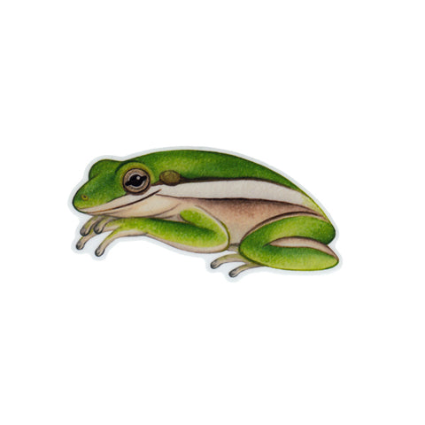 Green Tree Frog Vinyl Sticker