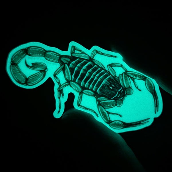 Hentz Striped Scorpion Glow in the Dark Vinyl Sticker