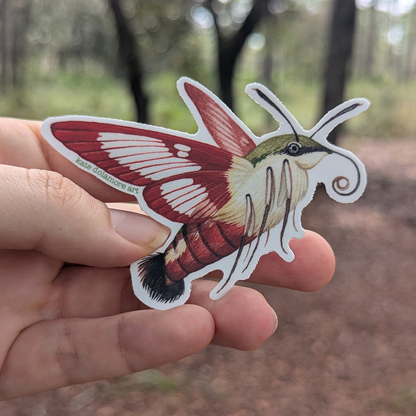 Hummingbird Clearwing Moth Vinyl Sticker