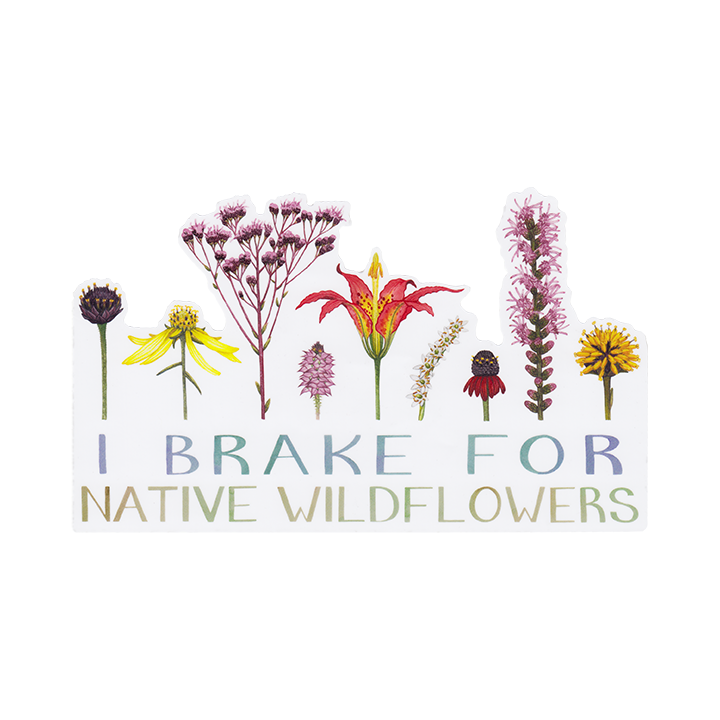 "I Brake For Native Wildflowers" Vinyl Bumper Sticker