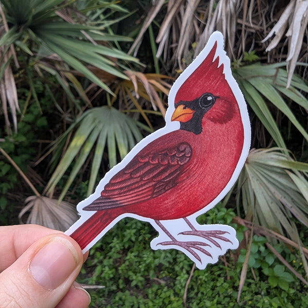 Northern Cardinal (Male) Vinyl Sticker