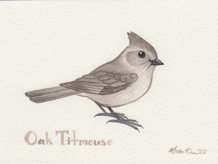 Oak Titmouse 6x4.5 Original Watercolor Painting