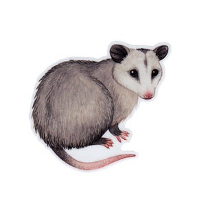 Opossum Vinyl Sticker