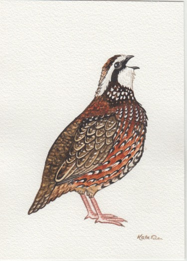 Bobwhite Quail 5x7 Original Watercolor Painting