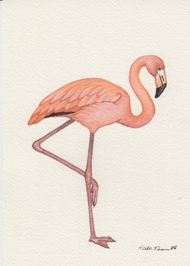 American Flamingo 5x7 Original Watercolor Painting