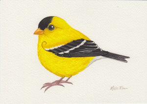 American Goldfinch 7x5 Original Watercolor Painting