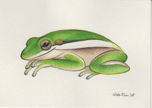 Green Tree Frog 7x5 Original Watercolor Painting