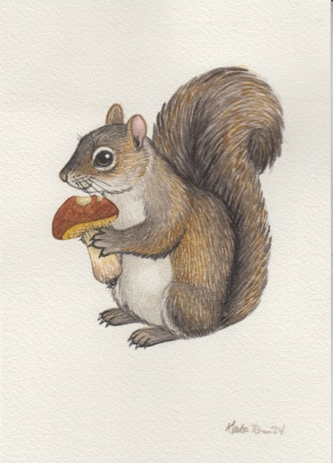 Eastern Gray Squirrel with Mushroom 5x7 Original Watercolor Painting