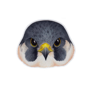 Peregrine Falcon Face Vinyl Sticker