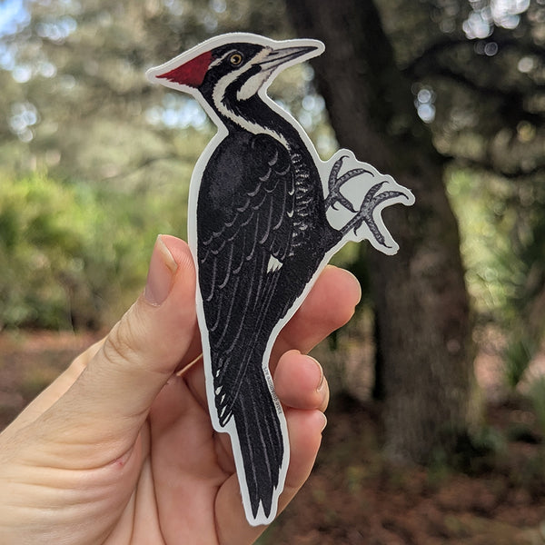Pileated Woodpecker Vinyl Sticker
