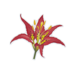 lily flower stickers Pine Lily Vinyl Sticker – Kate Dolamore Art