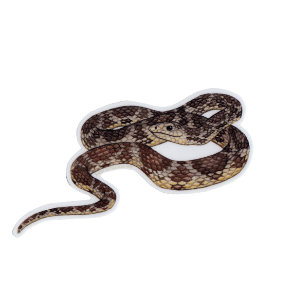 Pine Snake Vinyl Sticker