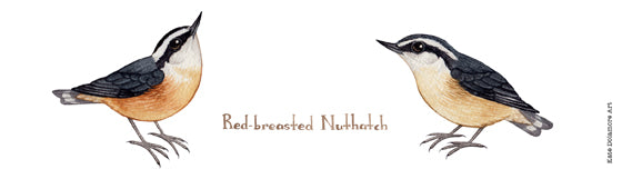 Red-breasted Nuthatch 10 oz. Camp Mug