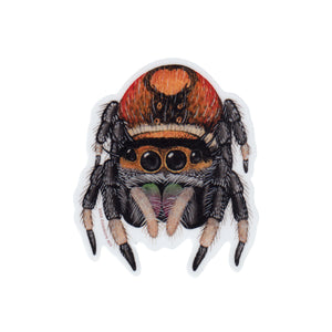 Regal Jumping Spider Vinyl Sticker