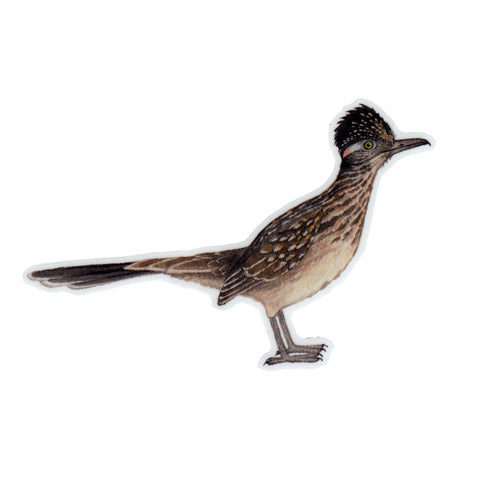 Greater Roadrunner Vinyl Sticker