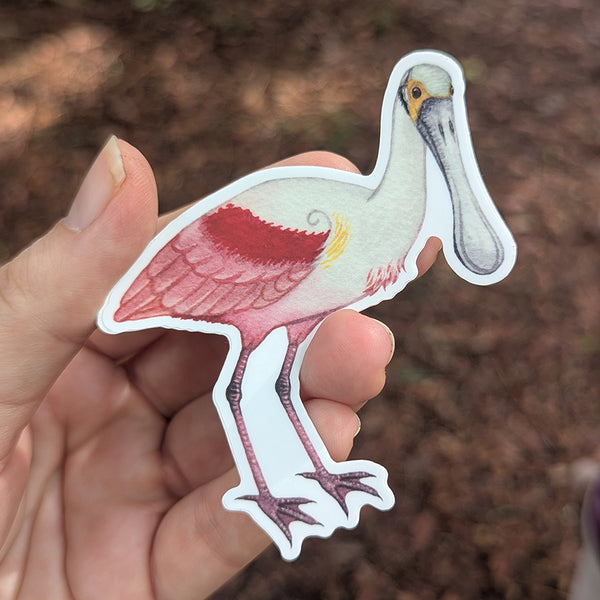 Roseate Spoonbill Vinyl Sticker