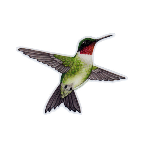 Ruby-throated Hummingbird Vinyl Sticker
