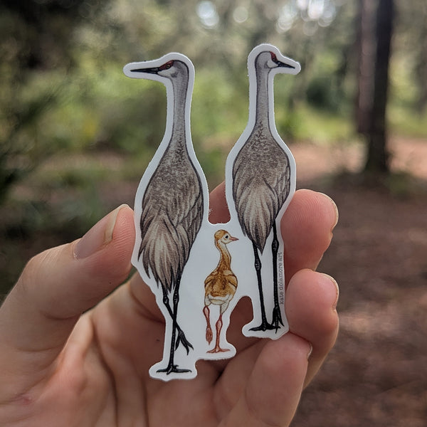 Sandhill Crane Family Vinyl Sticker