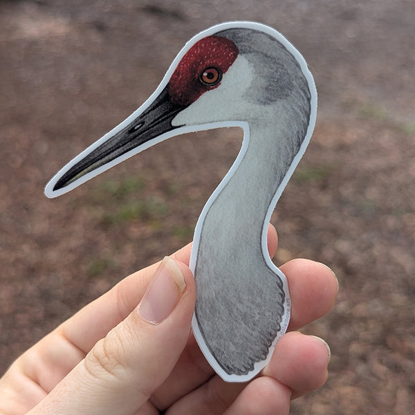 Sandhill Crane Portrait Vinyl Sticker