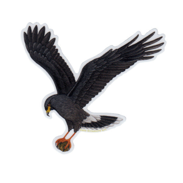 Snail Kite Vinyl Sticker
