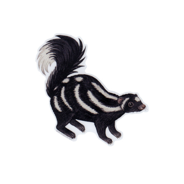 Spotted Skunk Vinyl Sticker