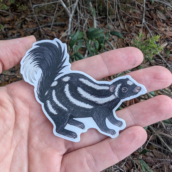 Spotted Skunk Vinyl Sticker